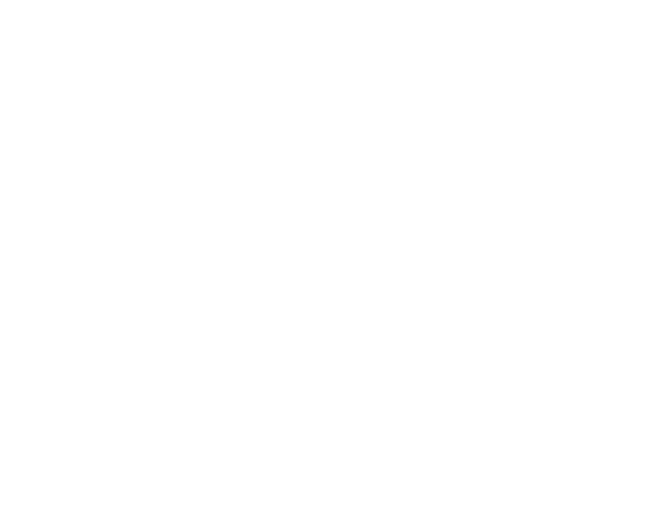 Tanto Consulting Inc.
